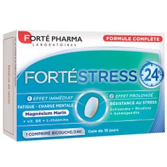 Forté Pharma Forte Stress 24h 15 Tablets