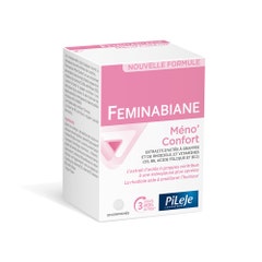 Pileje Feminabiane Feminabiane Mémo'Confort 90 tablets