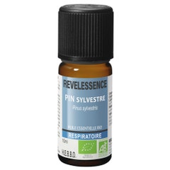 Revelessence Scots Pine Organic Essential Oil 10ml