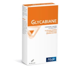 Pileje Glycabiane Glycabiane X 60 Capsules 60 gélules