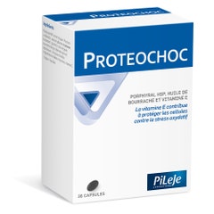 Pileje Proteochoc Proteochoc X36 Capsules 36 capsules