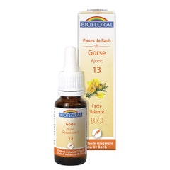 Biofloral Elixir Floral Bach Flowers N°13 Gorse - Strong Will 20ml