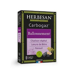 Herbesan Carbogas Ballonnement Vegetable Charcoal x45 capsules