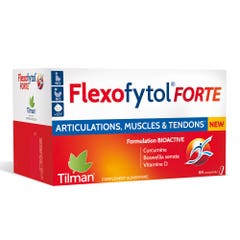 Tilman Flexofytol Forte 84 tablets