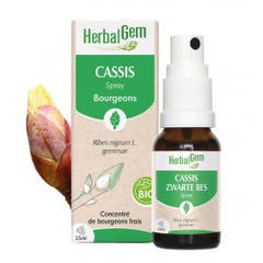 Herbalgem Bourgeons Blackcurrant Spray Bio 15ml