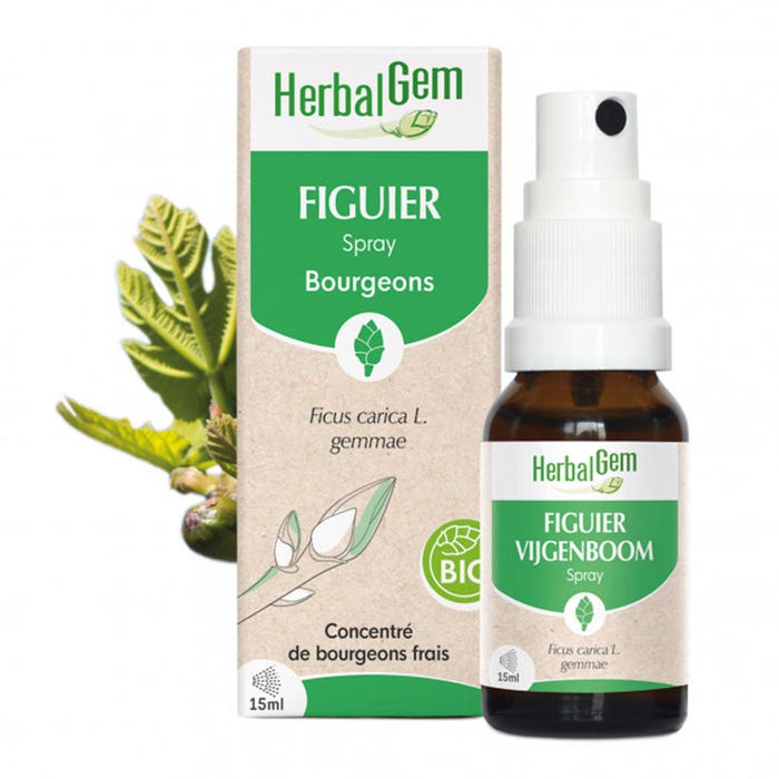 Herbalgem Bourgeons Fig Tree Spray Bio 15ml