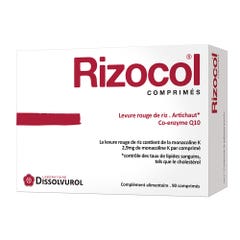 Dissolvurol Rizocol Cholesterol 90 Comprimes