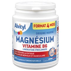 Alvityl Magnesium Vitamin B6 120 tablets