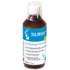 Ineldea Silibiol Silicium Anti Age Cellular Protection 500ml