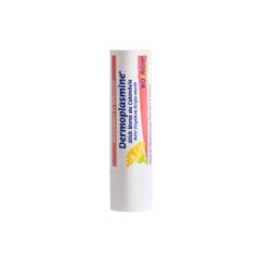 Boiron Dermoplasmine Lip stick Hydrating and soothing 4g
