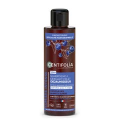 Centifolia Violet Dejaunizing Shampoo Organic Grey, White &amp; Blonde Hair 200ml
