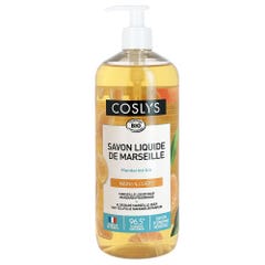 Coslys Organic mandarin Marseille liquid soap Hands & Body 1L