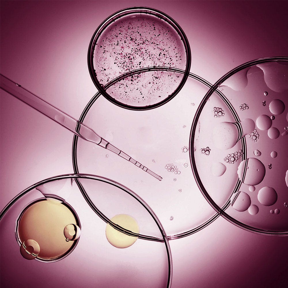 Melvita Argan Bio-Active Sérum Expert Rides & Eclat 30ml - Easypara