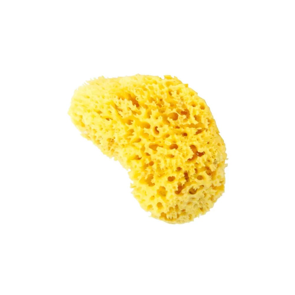 Estipharm Ultra-soft natural sponge x1