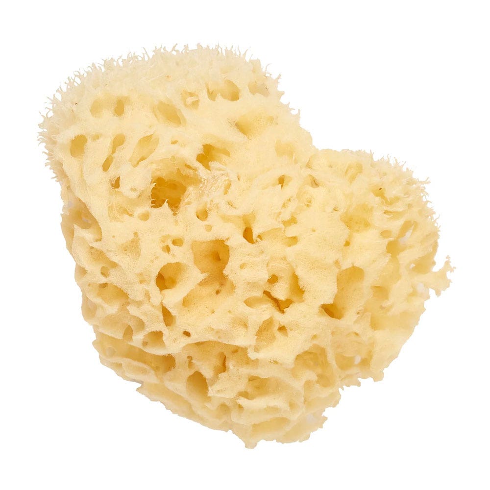 Cartel Natural sea sponge