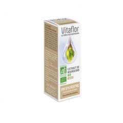 Vitaflor Organic Pine Bud Extract 15ml