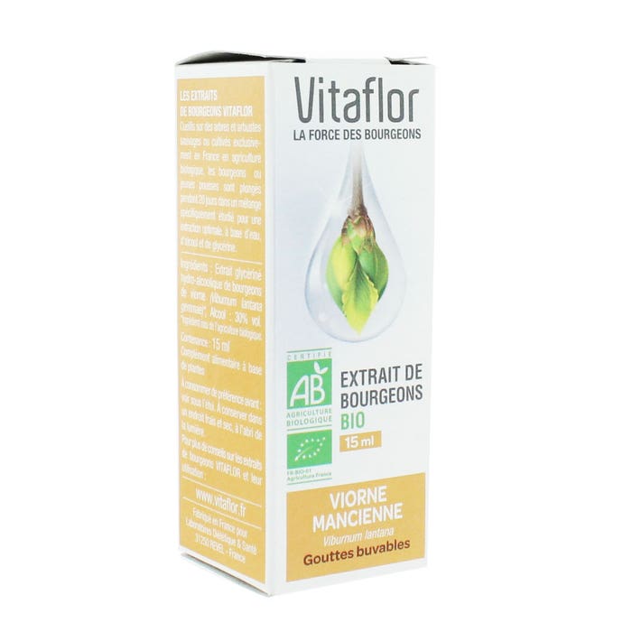 Vitaflor Organic Ivy Bud Extract 15 ml - Easypara