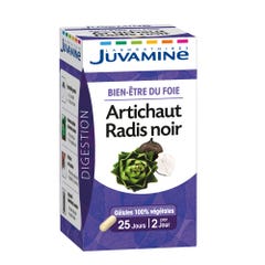 Juvamine Bien Etre du Foie Artichoke Black radish 50 capsules