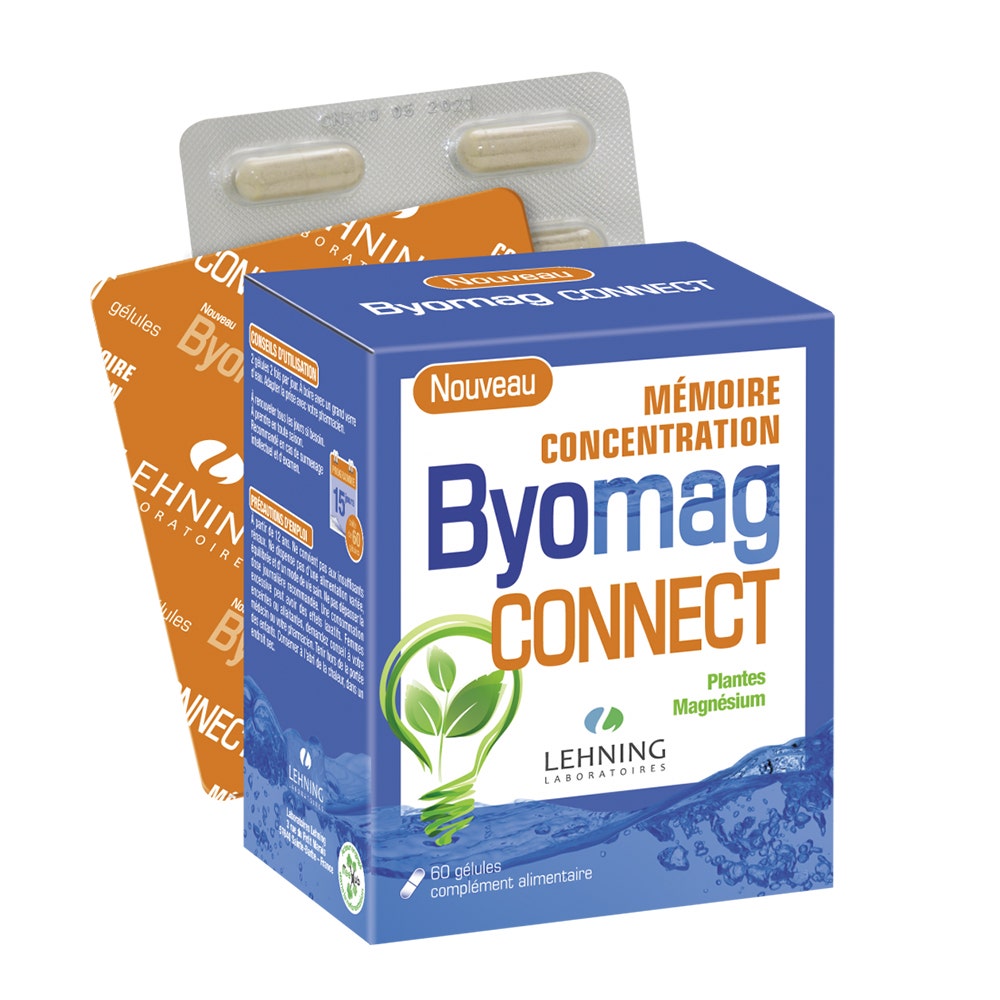 Lehning Byomag Connect
