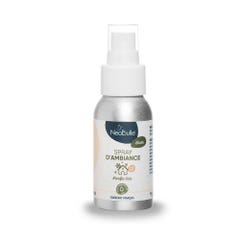 Neobulle hiver Room spray from 3 months 50ml