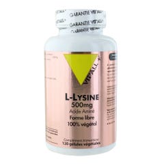 Vit'All+ L- Lysine 500mg 120 capsules