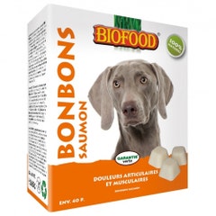 Biofood Maxi Doggy Treats With Salmon Joint And Muscle Pains X 40