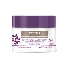 Cattier Körpermilch Bio Modelant 2x500 Ml – Straffende Bodylotion Mit Nachtkerzenöl & Aloe Vera