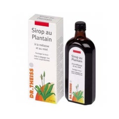 Dr. Theiss Naturwaren Plantain Day Syrup 250ml