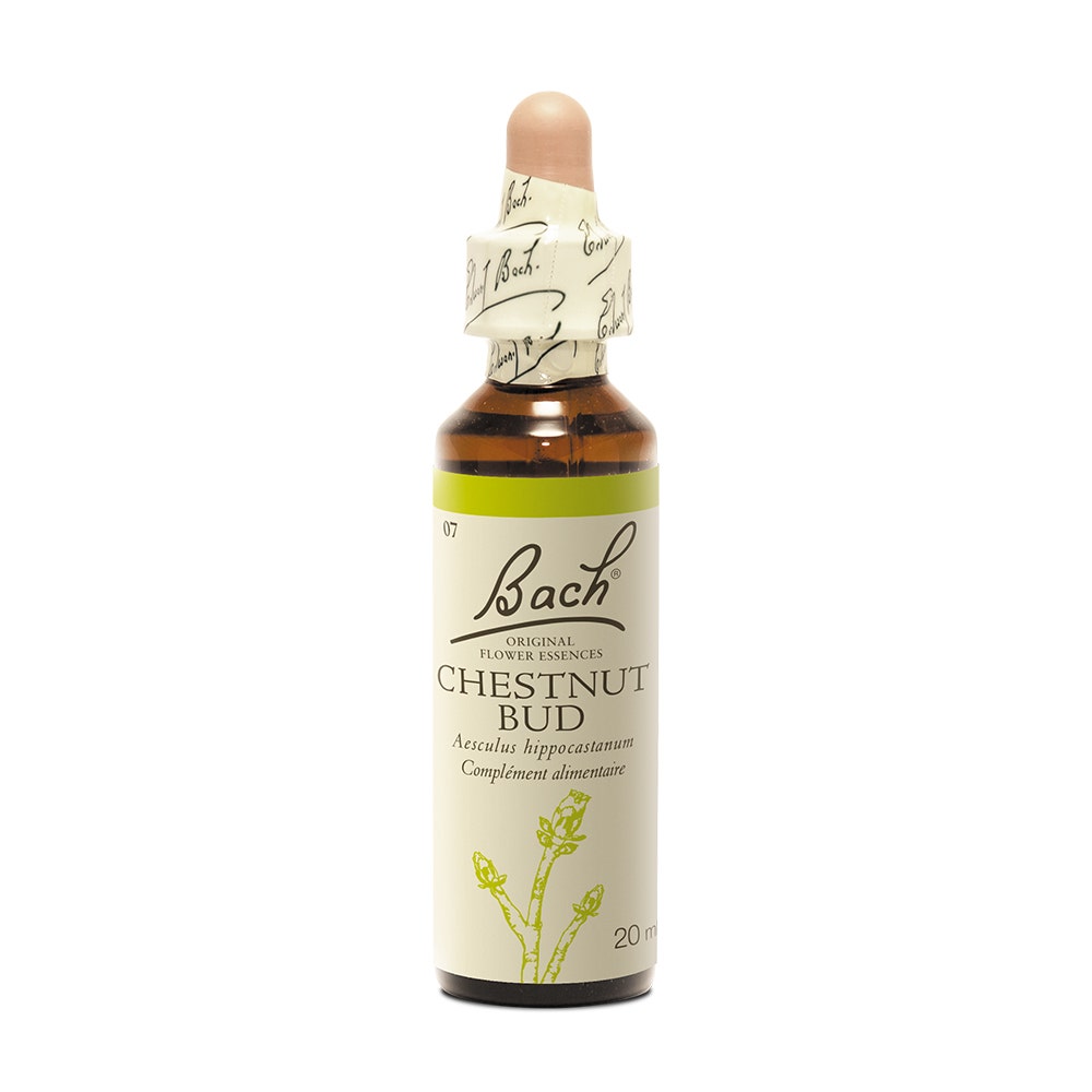 Fleurs de Bach Original N°07 Chestnut Bud 20ml