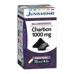 Juvamine Charcoal X 40 Capsules 1000mg