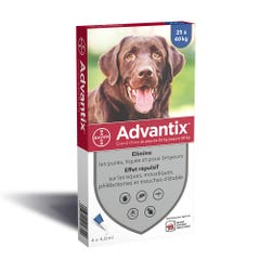 Advantix Big Dog Pipettes From 25 to 40 kg 40kg