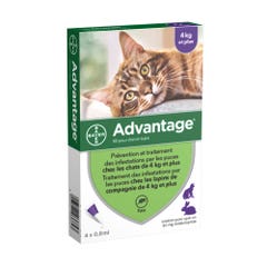Advantage Solution Anti Flea For Cats &gt; 4x0.8ml