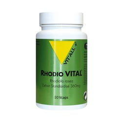 Vit'All+ Rhodio Vital Standardised Extract Rhodiola Rosea 360mg 30 capsules