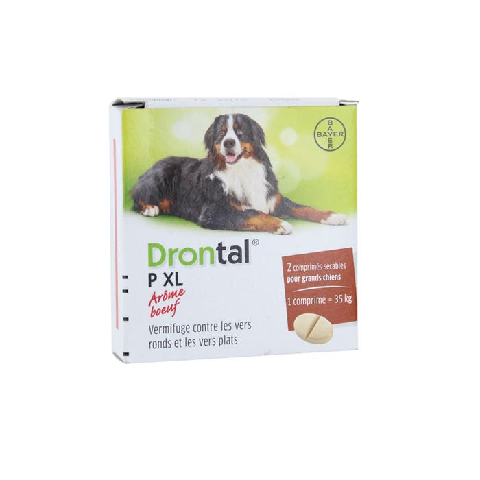 Drontal Plus Xl For Dogs Deworming 2 Tablets