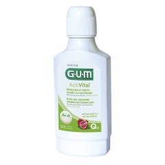 Gum ActiVital Activital Mouthwash Alcohol Free 300ml