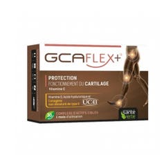 Sante Verte Gcaflex + 30 Capsules Cartilage Comfort Fonctionnement du cartilage