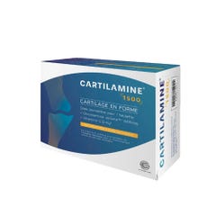 Effi Science Cartilamine 1500 Cartilage en forme 90 Tablets