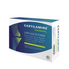Effi Science Cartilamine Chondro 60 Tablets Joints Comfort Cartilage en forme 60 Tablettes
