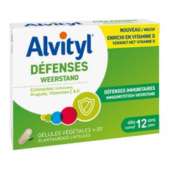 Alvityl Defenses X 30 Tablets With Propolis