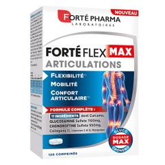 Forté Pharma Forté Flex Joints Flexibility and Mobility 120 tablets