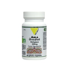 Vit'All+ Organic Amla 300mg Standardised Extract 60 capsules