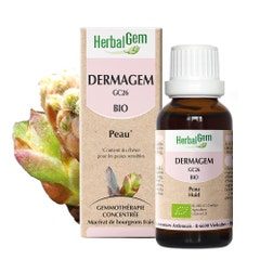 Herbalgem Complexes De Gemmotherapie Herblagem Dermagem Organic Skin Complex 30ml