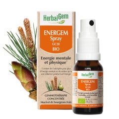 Herbalgem Complexes De Gemmotherapie Energem Organic Spray 15ml