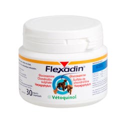 Vetoquinol Flexadin Osteoarthritis Dogs and cats 30 tablets