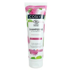 Coslys Organic refreshing detox shampoo Oily hair 250ml