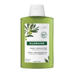 Klorane Olivier Shampoo Olive Extract Cheveux En Perte De Matière 200ml