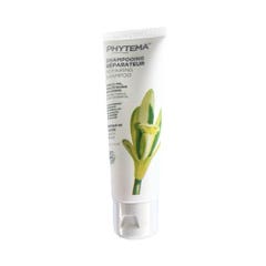 Phytema Organic Repairing Shampoo 50ml