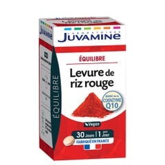 Juvamine Red Rice Yeast Cholesterol 30 Tablets Equilibre Avec CoQ10 30 Comprimes