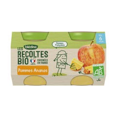 Blédina Les Recoltes Les Recoltes Organic Fruit Jars From 6 months 2x130g