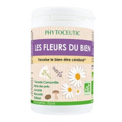 Phytoceutic Flowers of Bioes goodness 60 tablets
